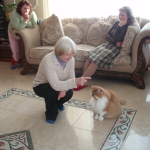 OLYMPUS DIGITAL CAMERA